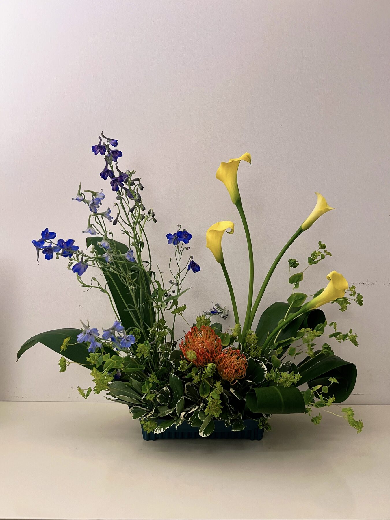 Yellow calla lilies, blue delphinium and pincushion protea arrangement