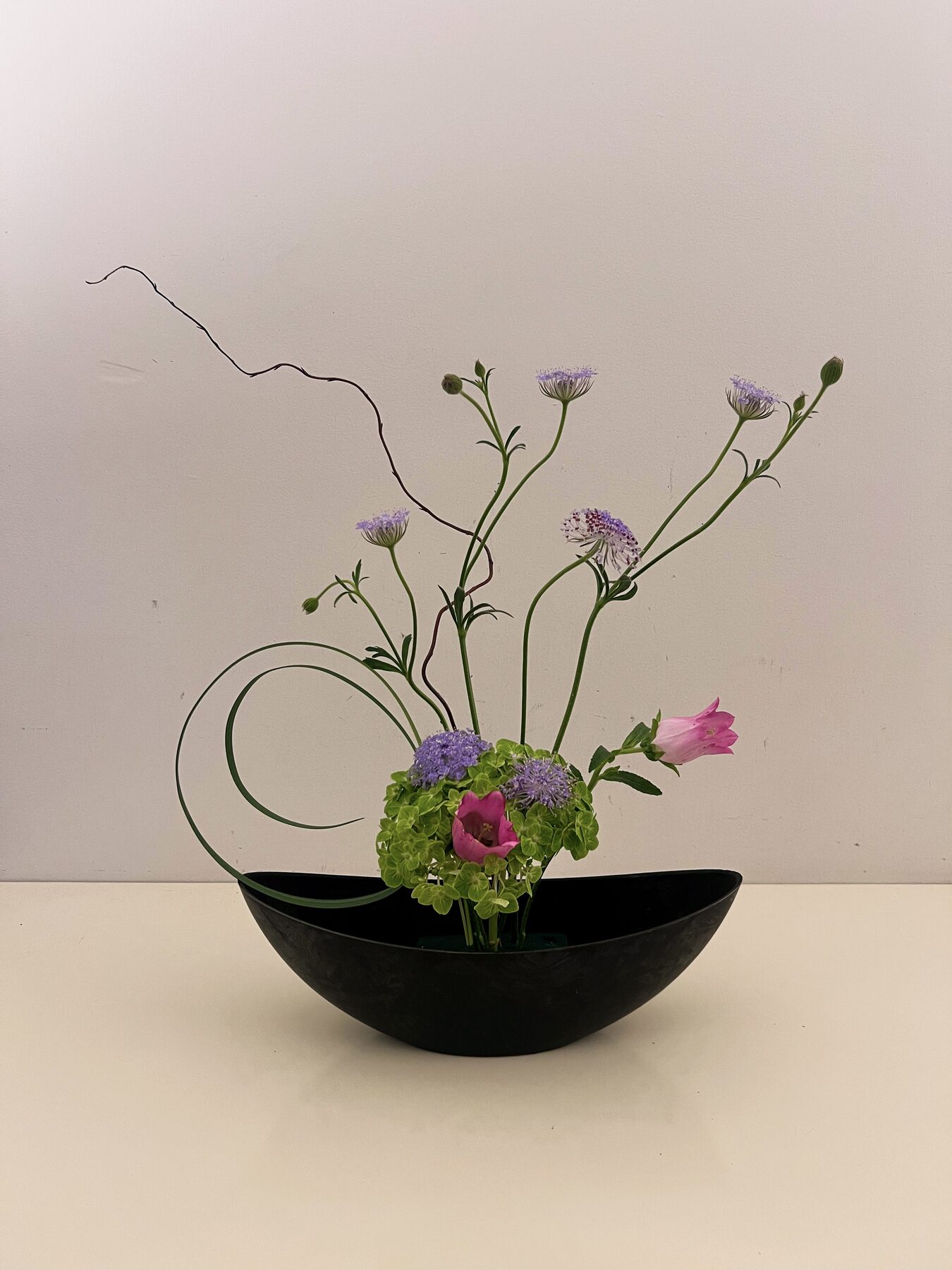 Ikebana-style arrangement with pink campanula and blue lace flower in a black bowl