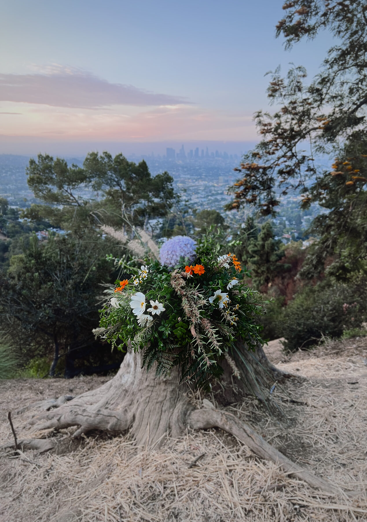 Wildflower and allium pillar arrangement on a tree stump overlooking the Los Angeles skyline